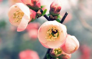 I am a picture with no name